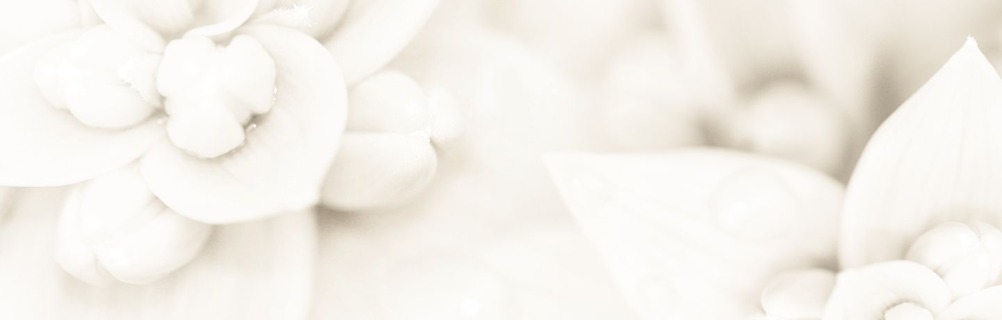 じゃがいもの木